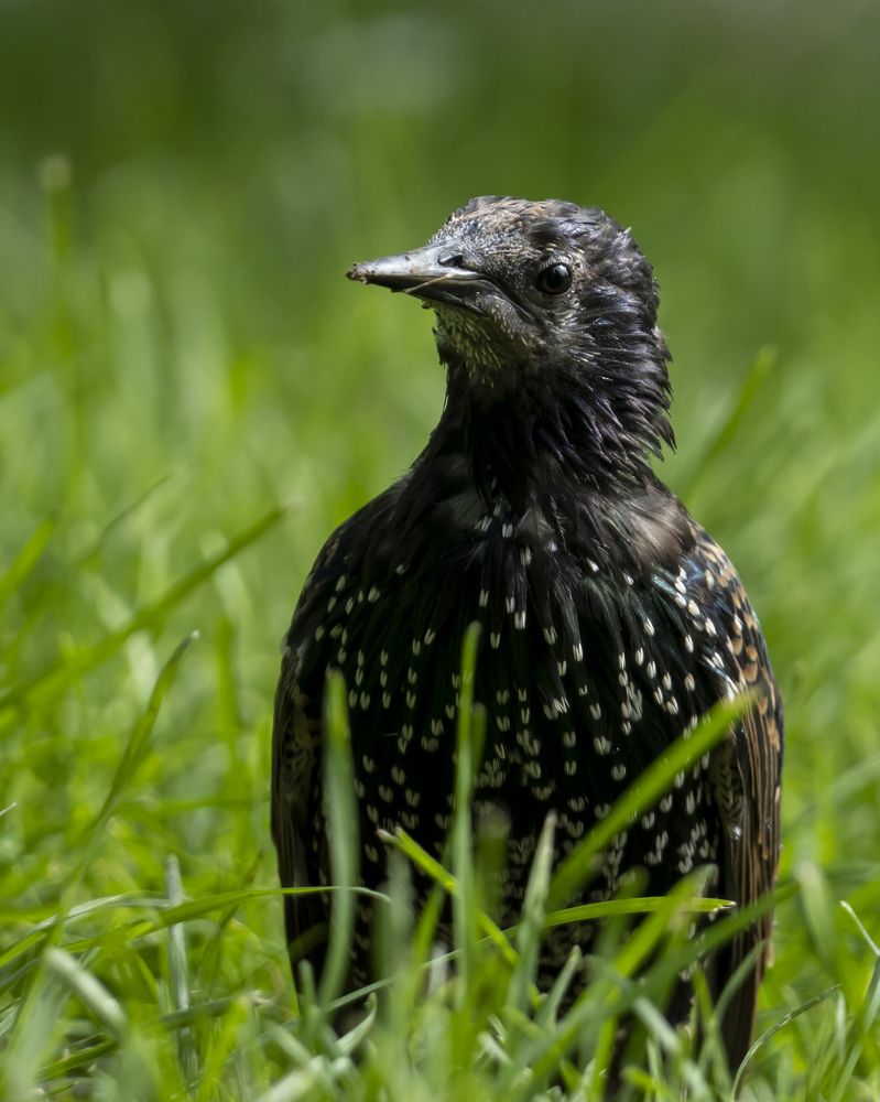 Фотография автора Сергей Затямин