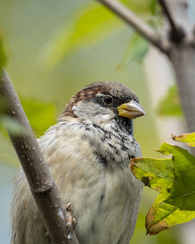 Фотография автора Сергей Затямин