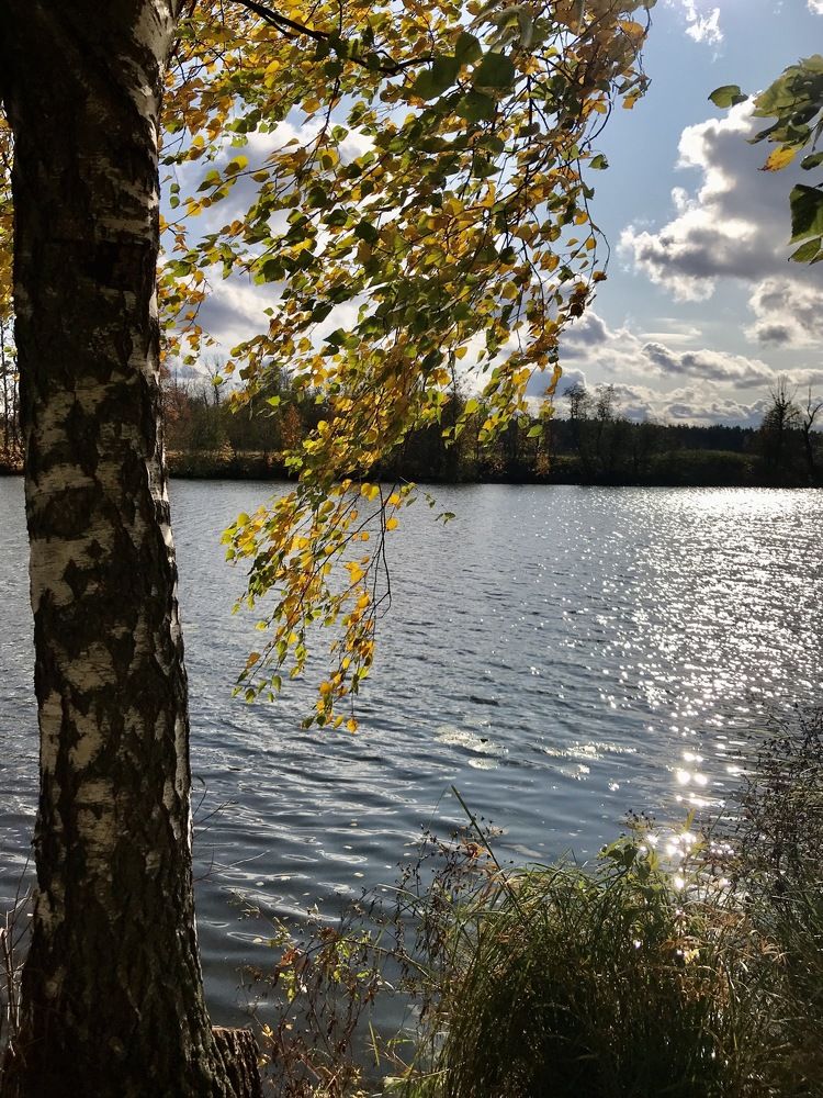 Photograph by Oksana Shchegolkova