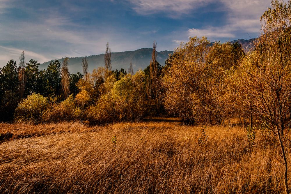 Photograph by Игорь Сидун