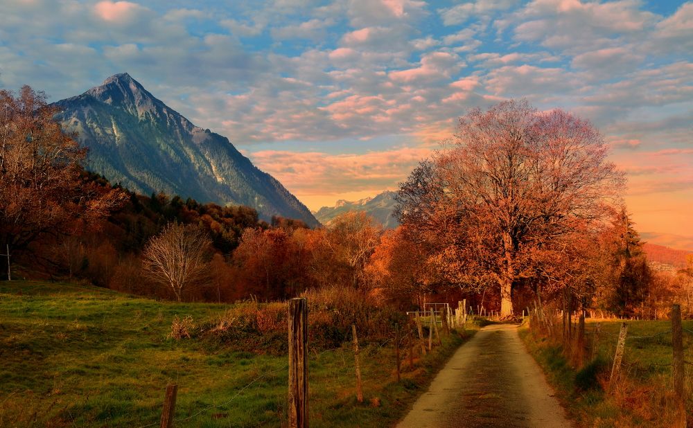 Photograph by Elena Wymann