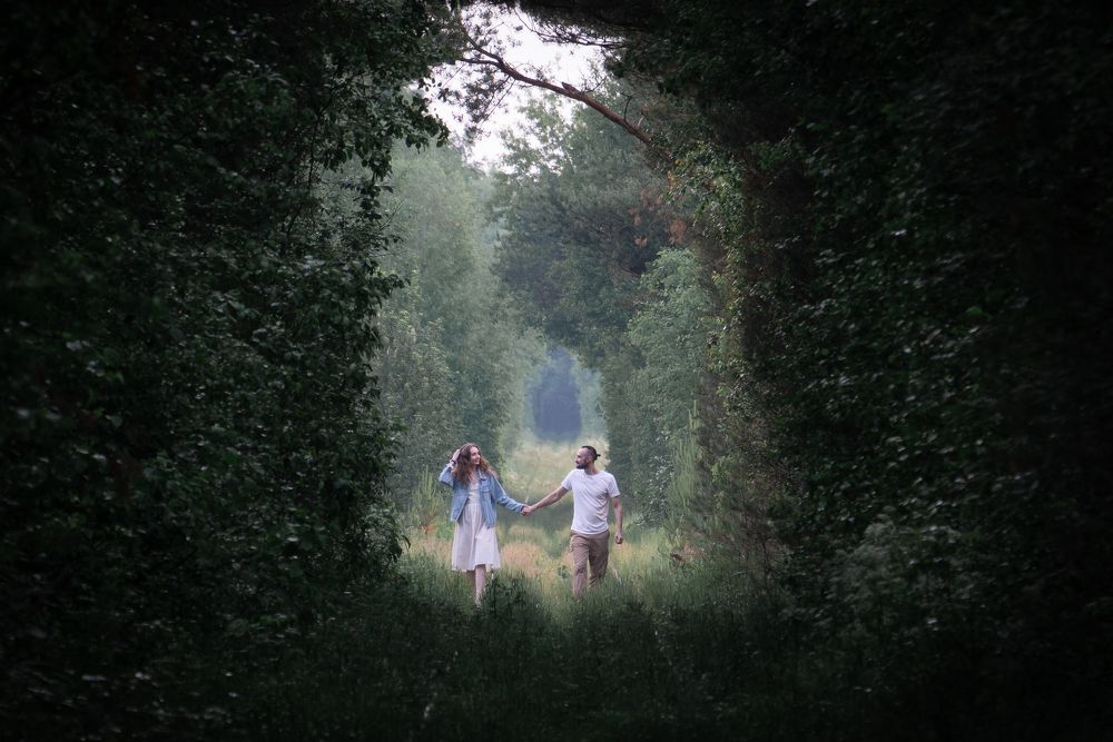 Сказочная дорога