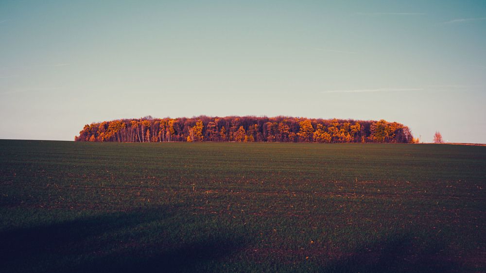 Photograph by Александр Ендин