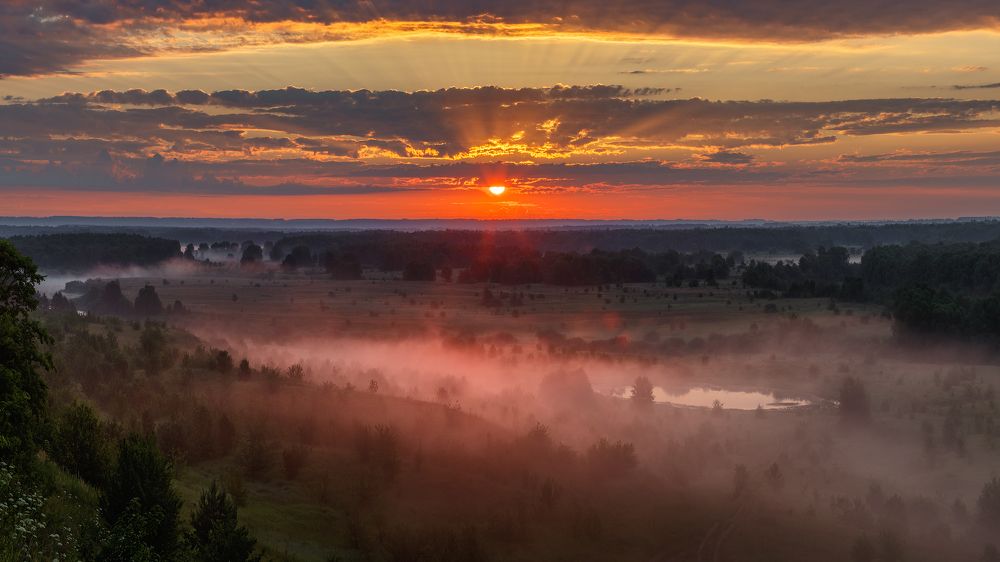 Photograph by Сергеев Сергей