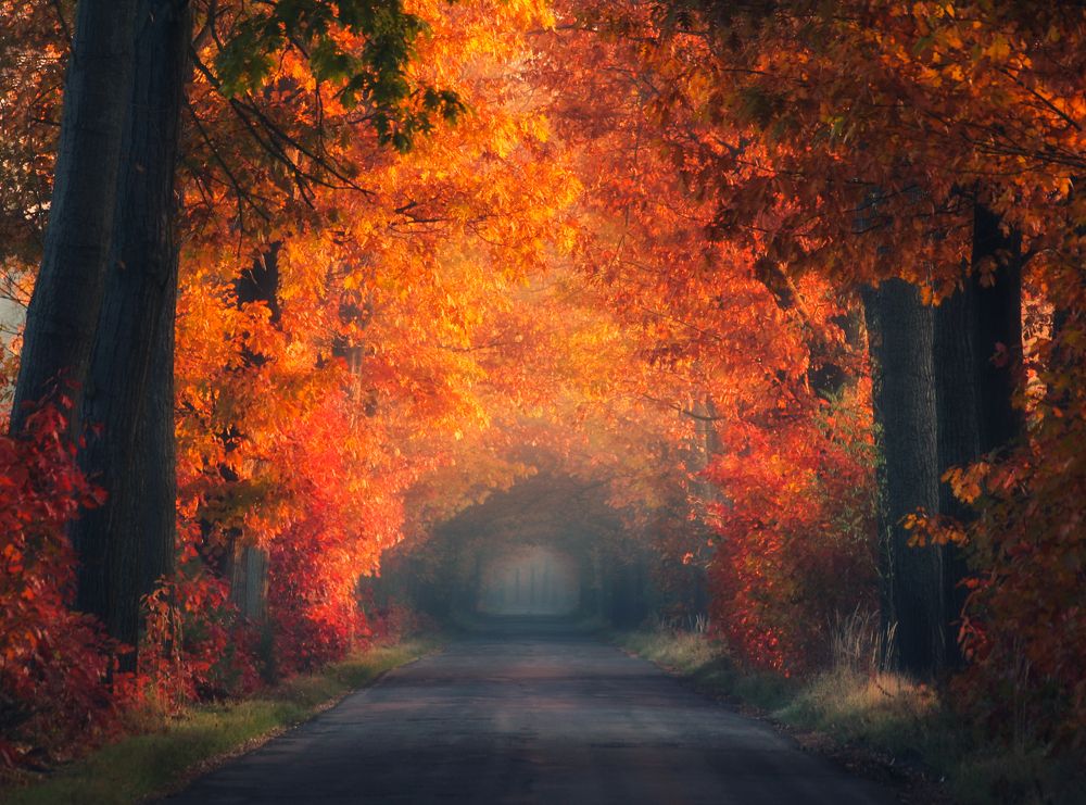 Photograph by Pawel Uchorczak