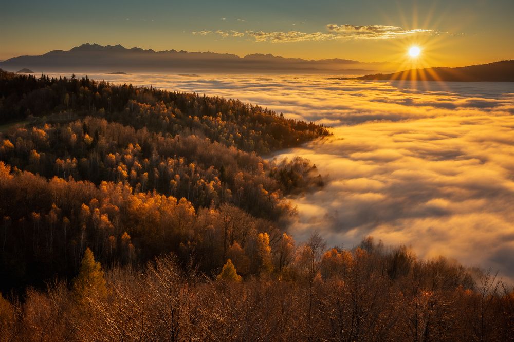 Photograph by Pawel Uchorczak