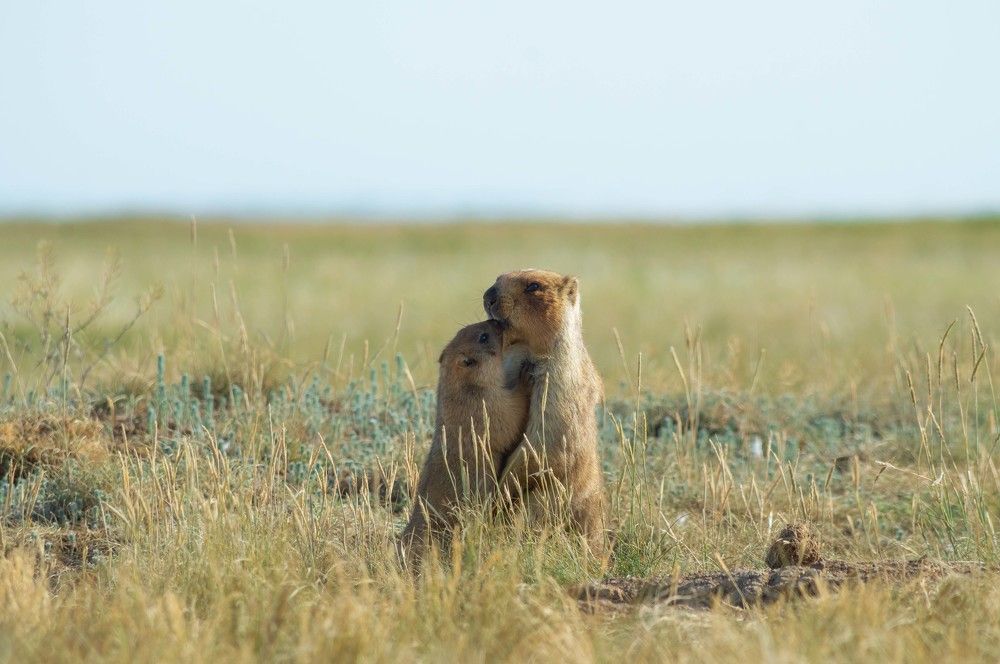 Photograph by Андрей Красников
