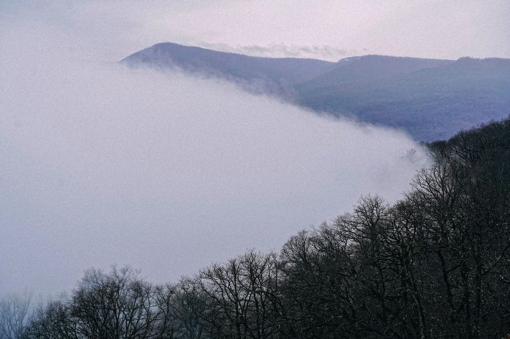 Photograph by Наталия Якимова