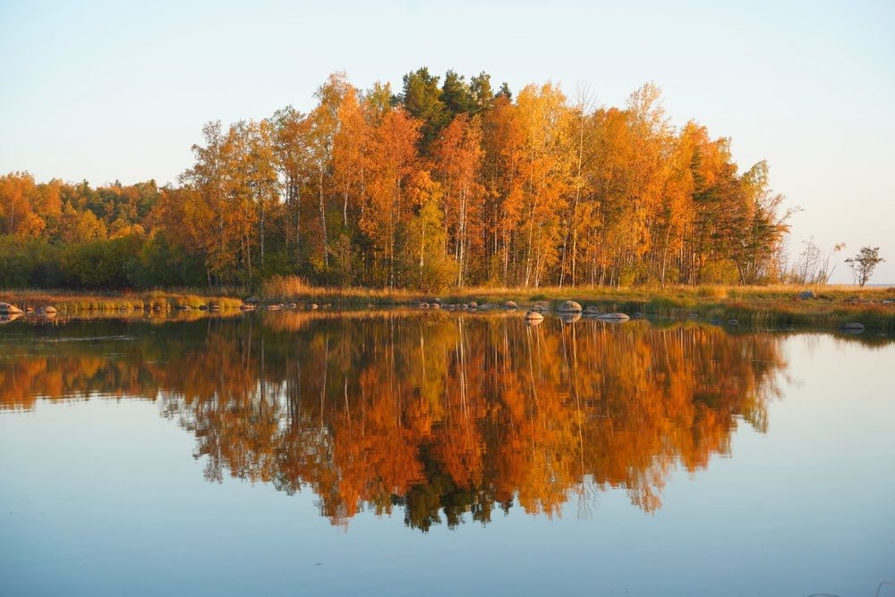 Фотография автора Юлия Овчинникова