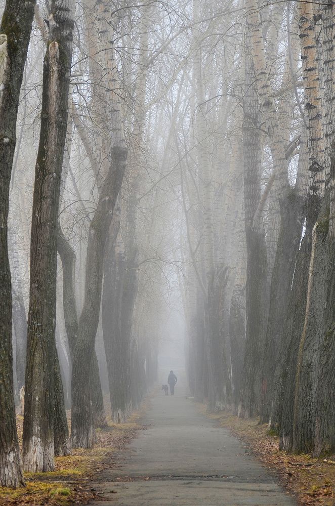 Photograph by Pavel SidorOFF