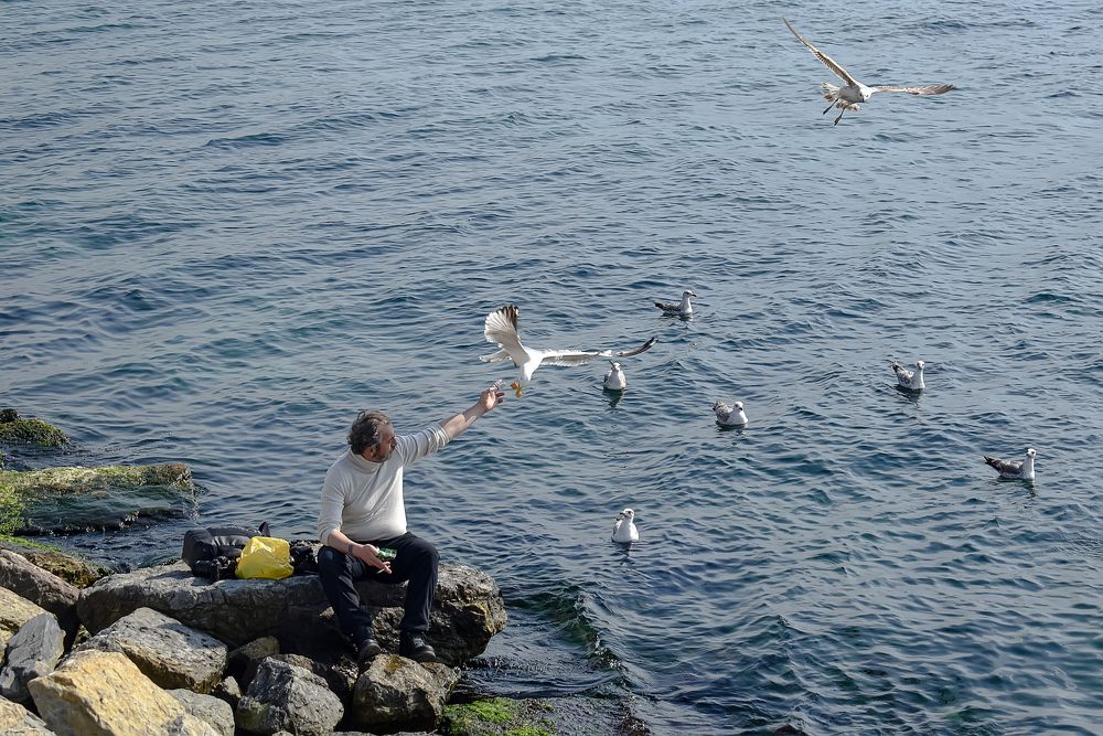 Photograph by Vira Popova