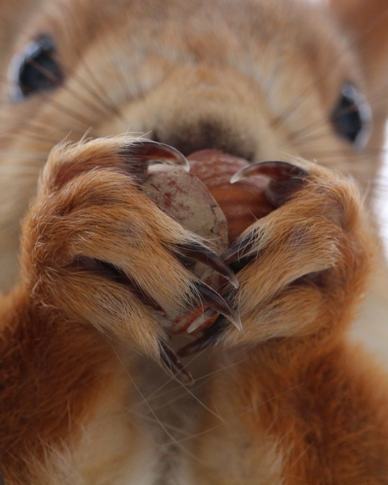 Photograph by Александр Затямин