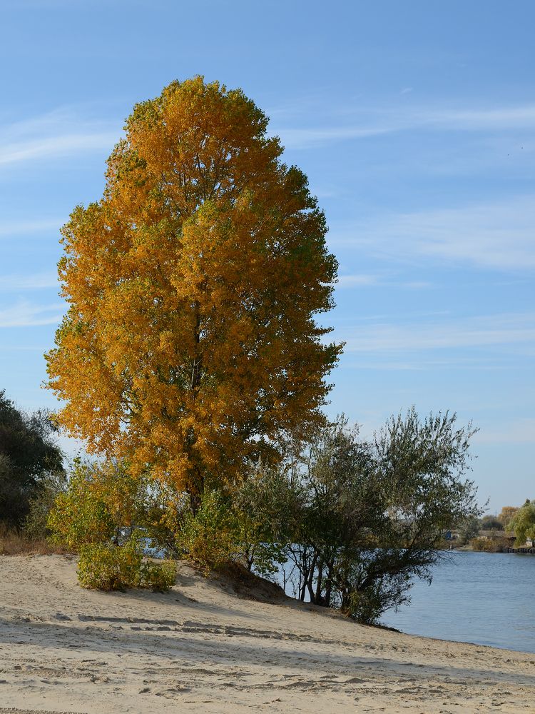 Фотография автора Алексей Батюков