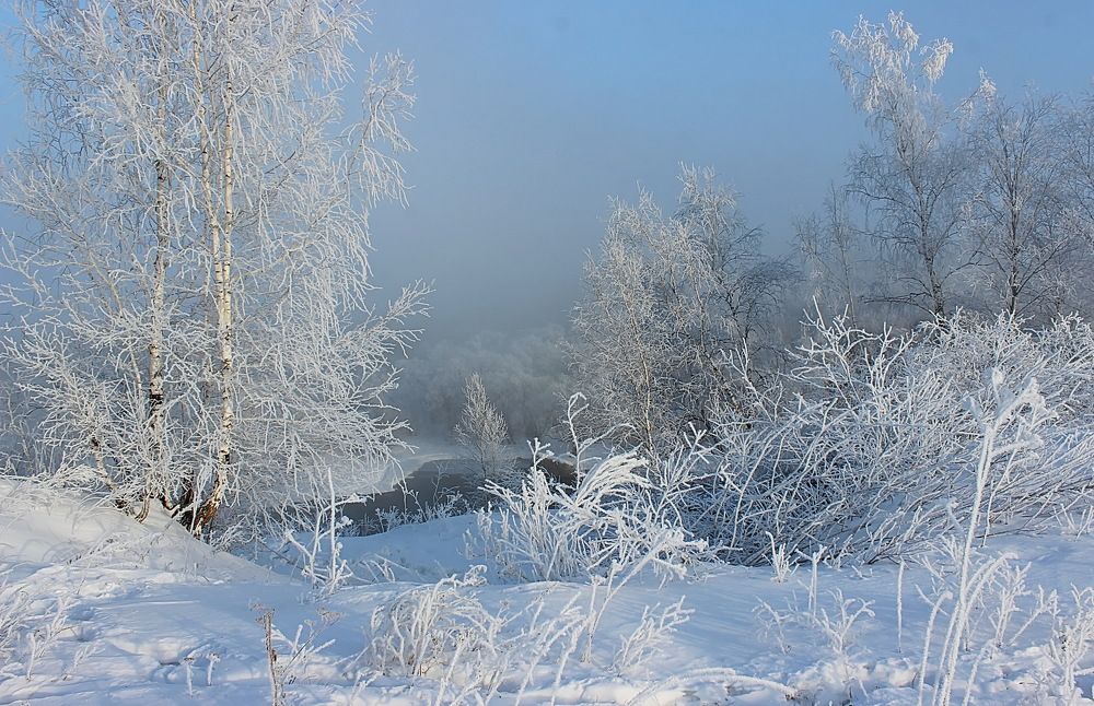 Photograph by Наталья Юрова