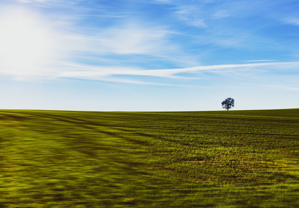 Photograph by Magdalena Kolenicova