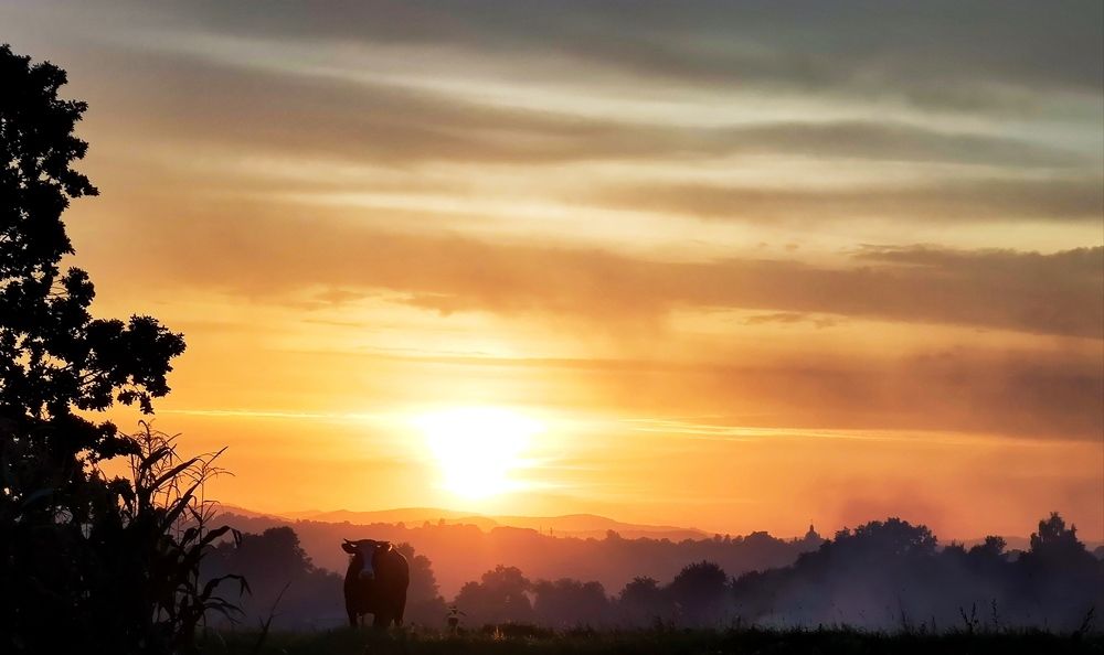 Photograph by Инна Макарчук