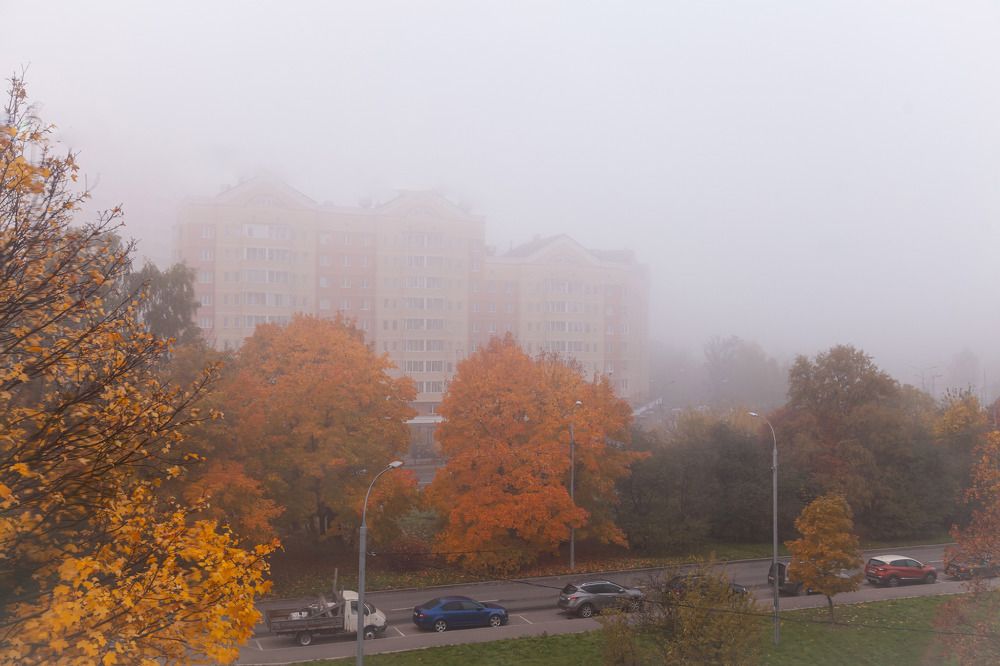 Вид из окна.