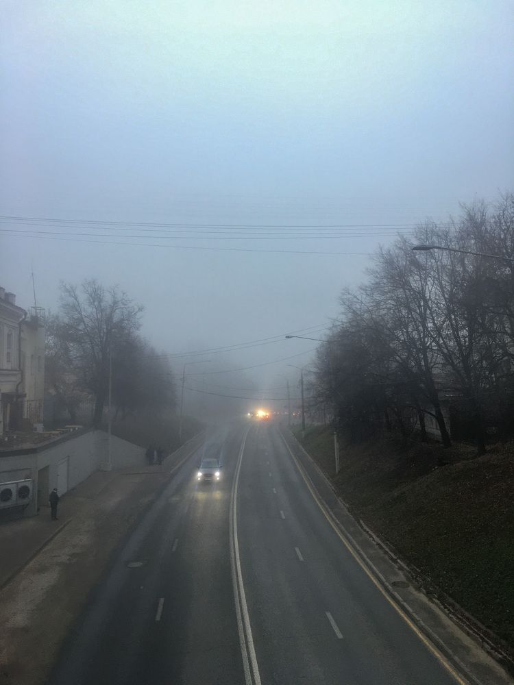 Photograph by Елизавета Большакова