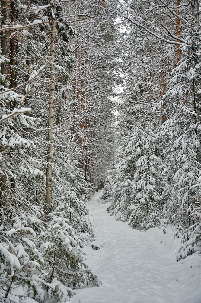Photograph by Владимир Высотских