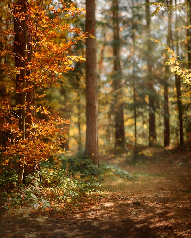 Photograph by Ярослава Громова