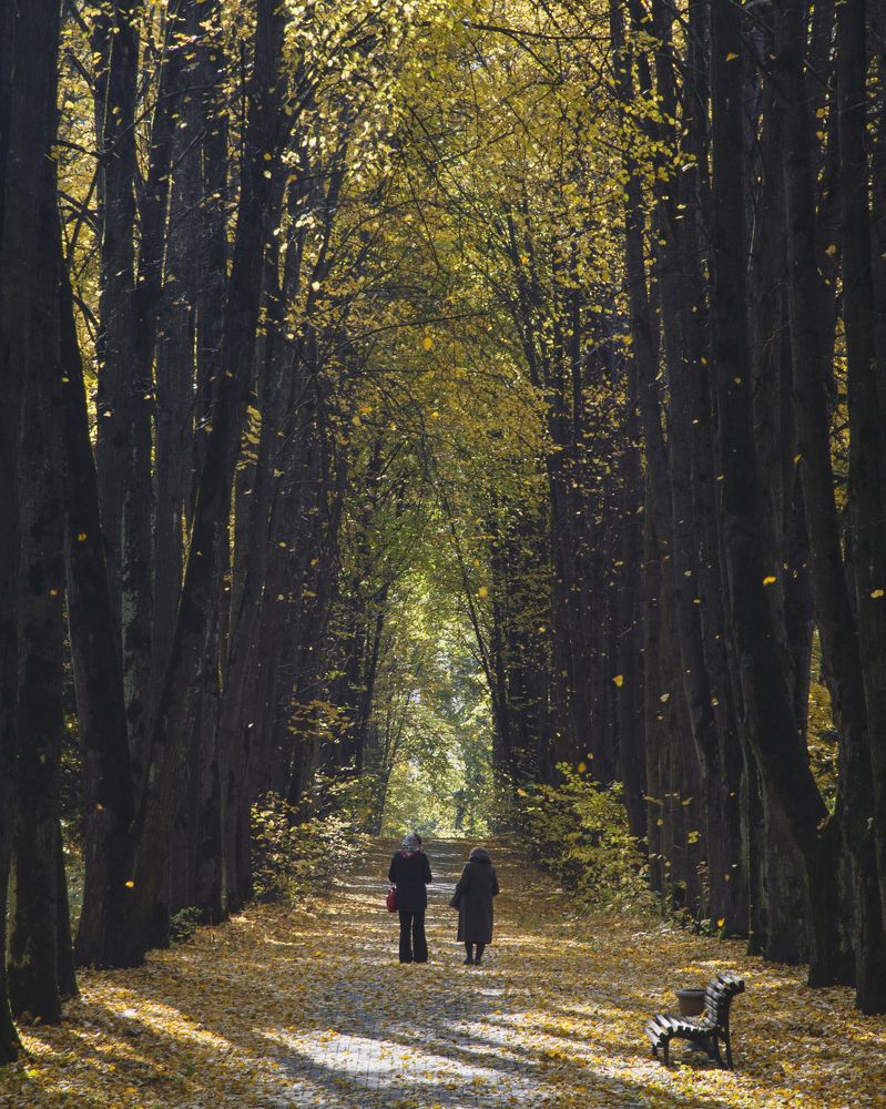 Photograph by Юлія Белая