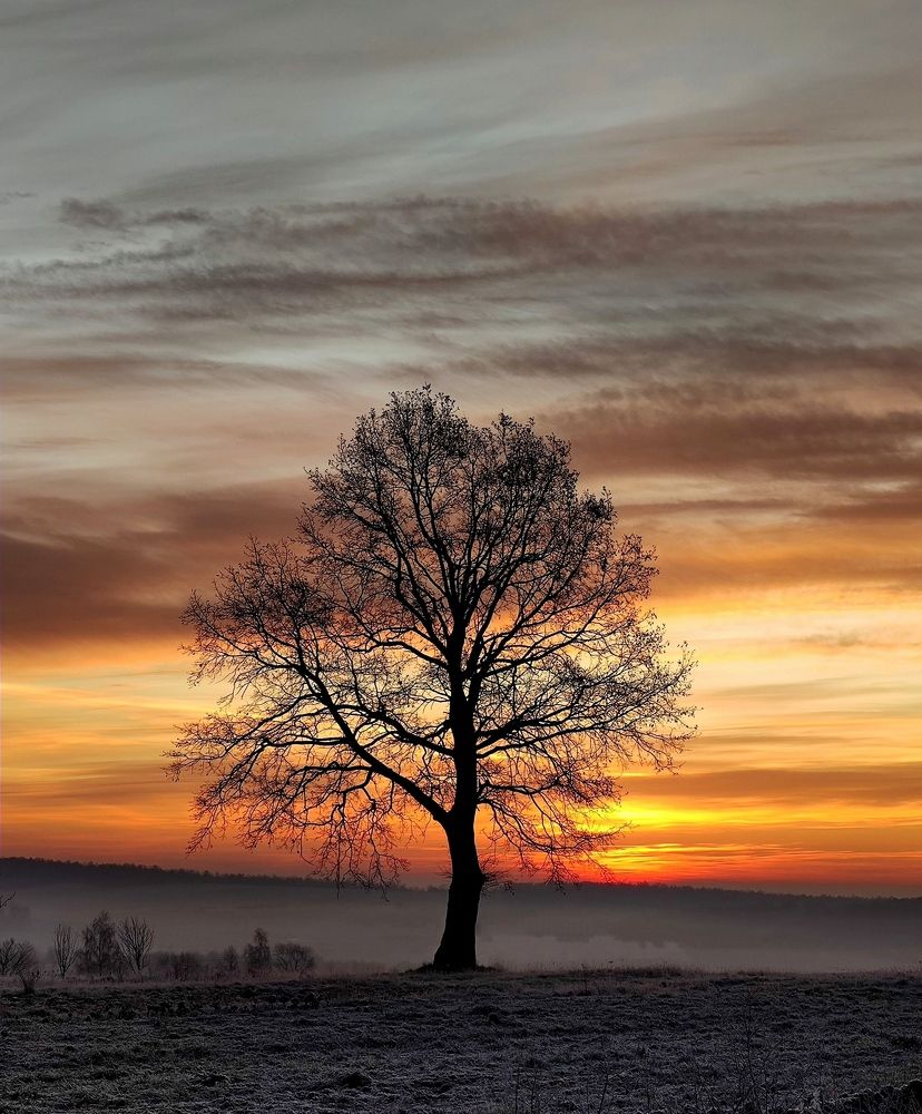 Photograph by Инна Макарчук