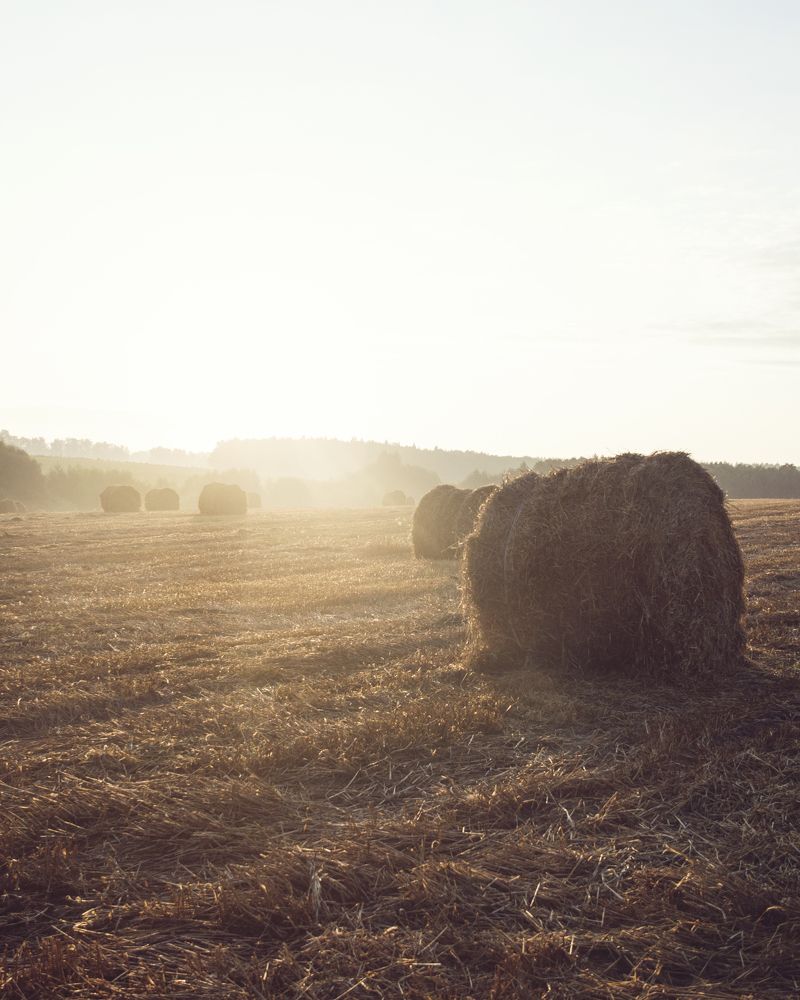 Photograph by Юлія Белая