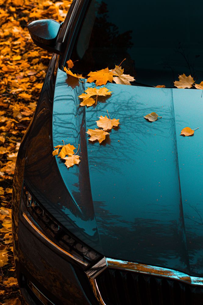 Photograph by Александр Щедрин