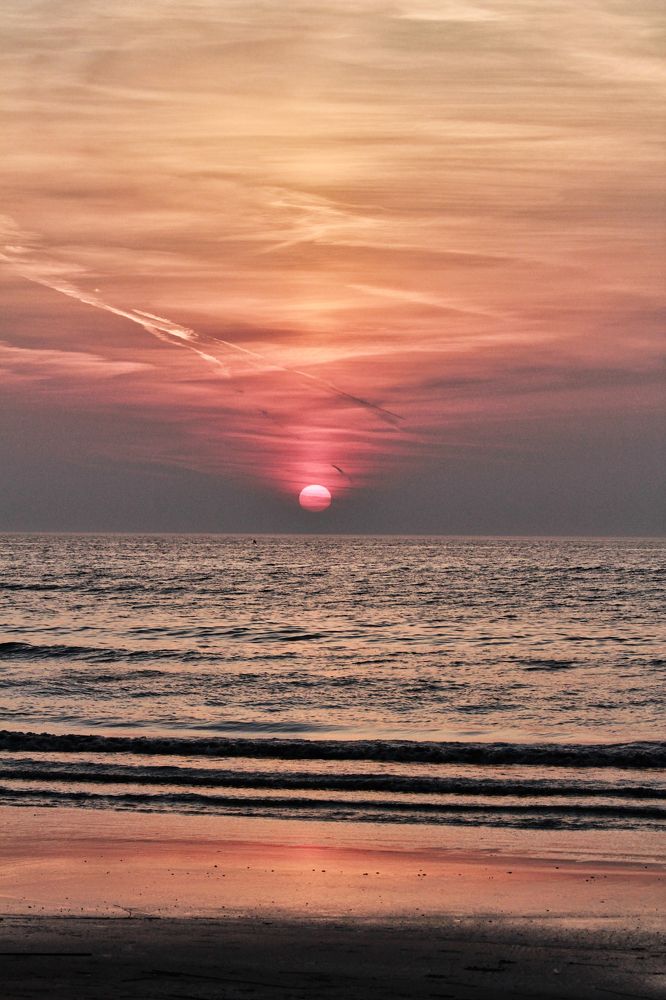 Photograph by Dmitry