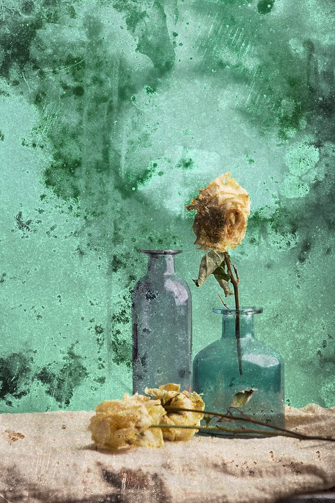 Photograph by Tatiana Kravchuk