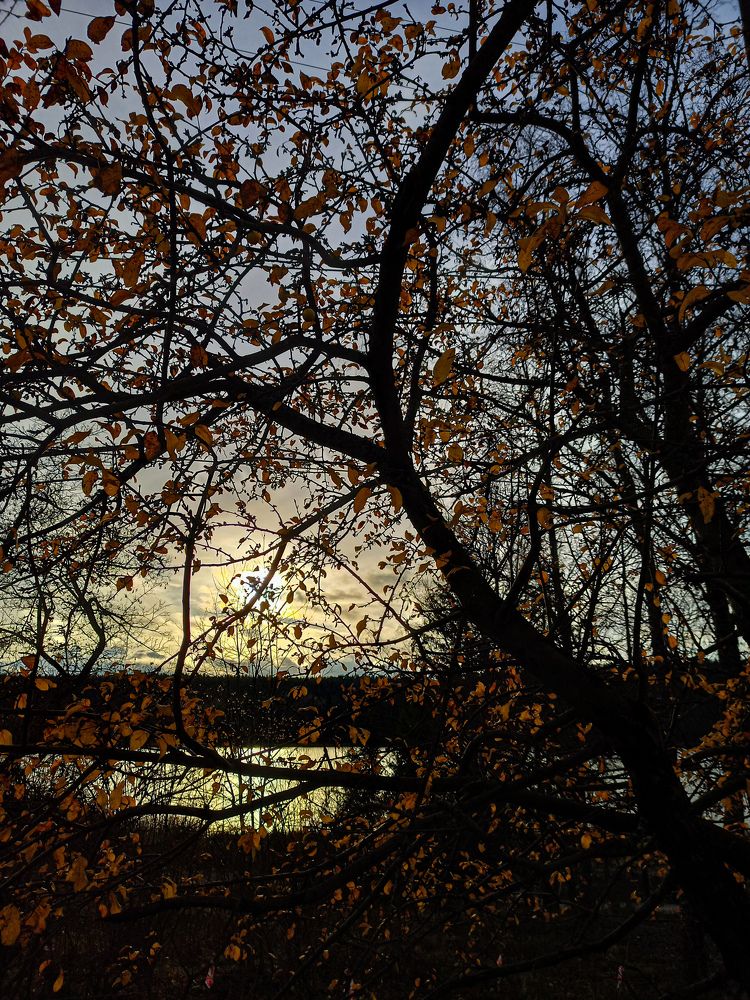 Photograph by Екатерина Дзюба