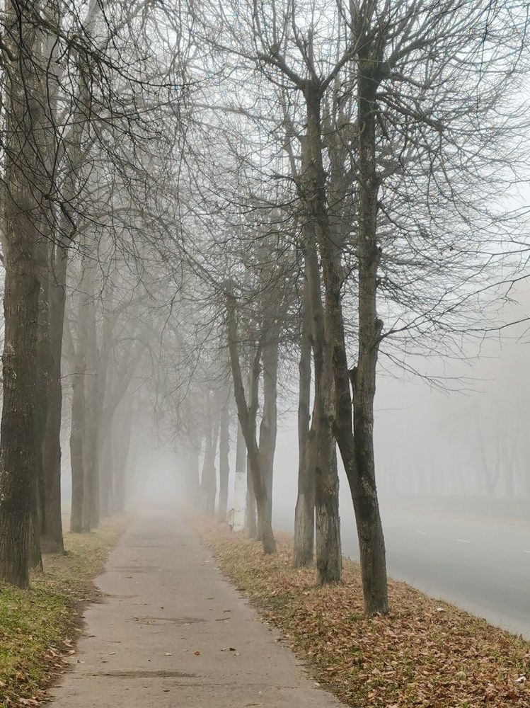 Photograph by Оксана Урбанович