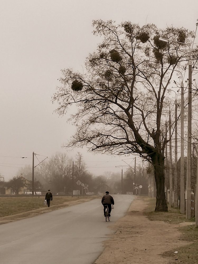 Photograph by Оксана Урбанович