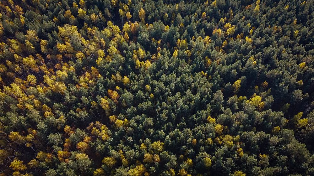 Photograph by Павел Терехов