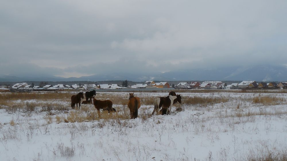 Photograph by Евгений Емельянов