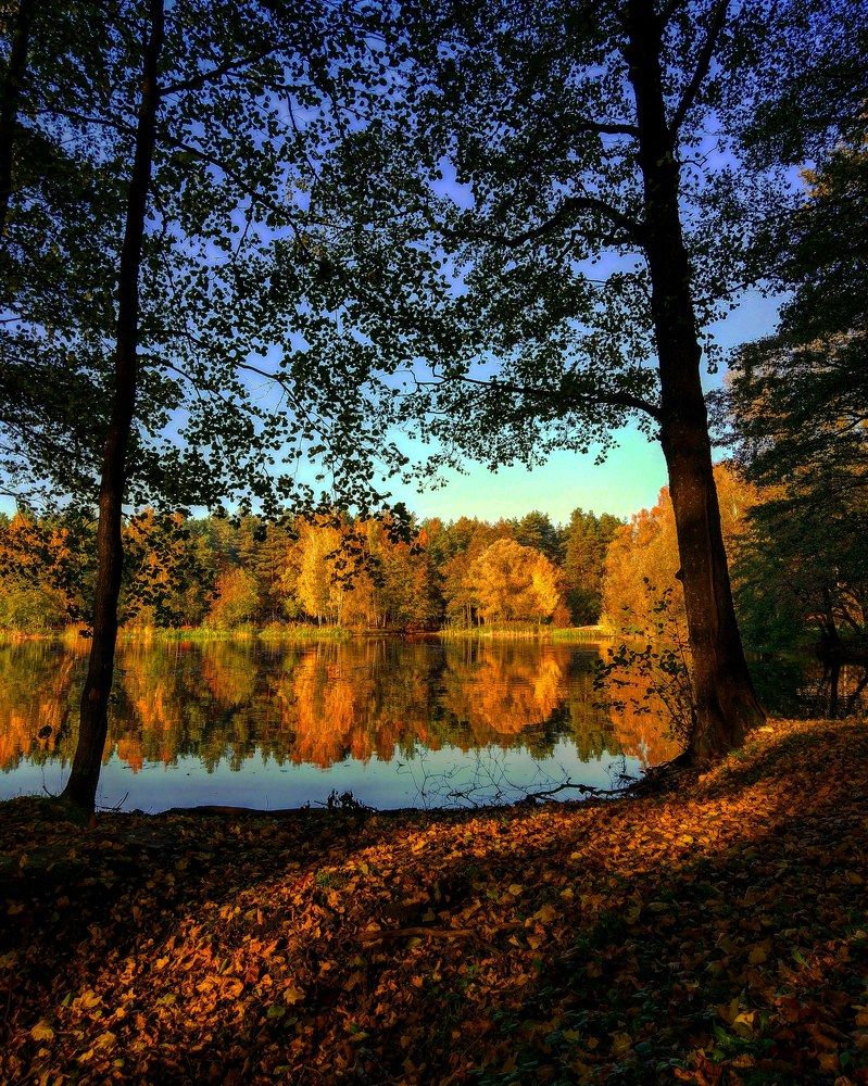 Фотография автора Serega3