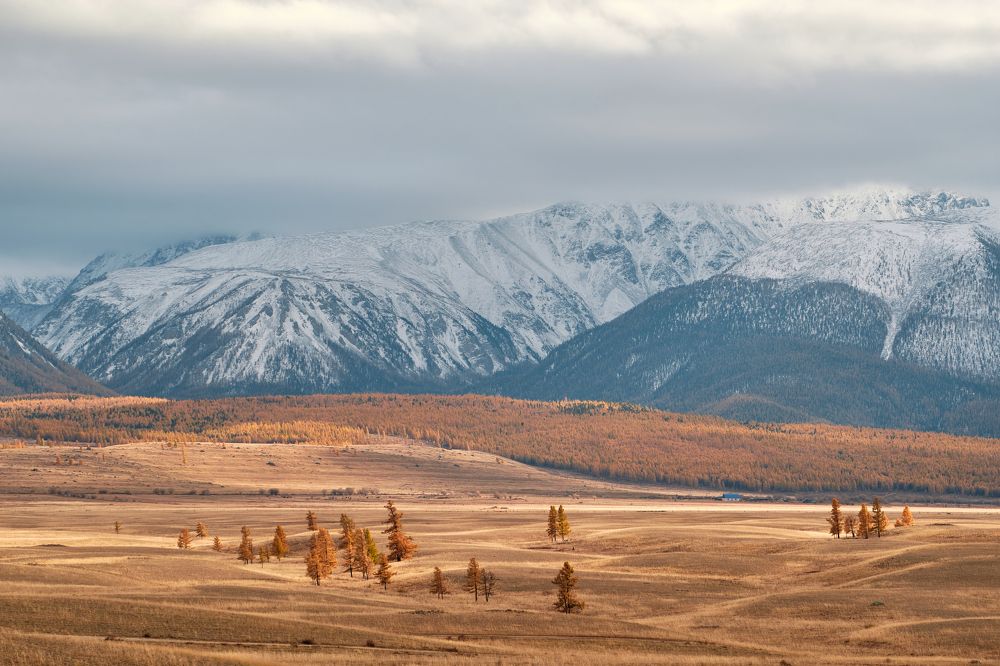 Фотография автора Владимир Эделев