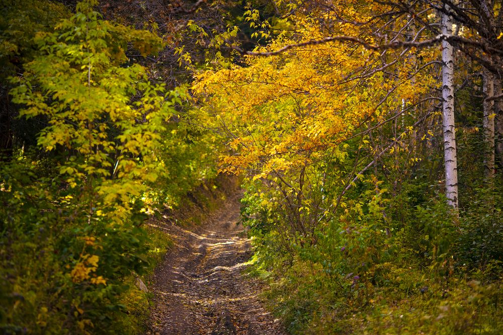 Фотография автора Татьяна Меньшикова