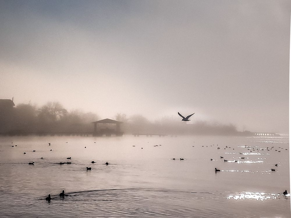 Photograph by Лариса Когтева