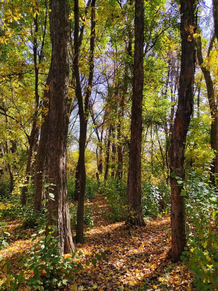 Photograph by Aliya Ismailova