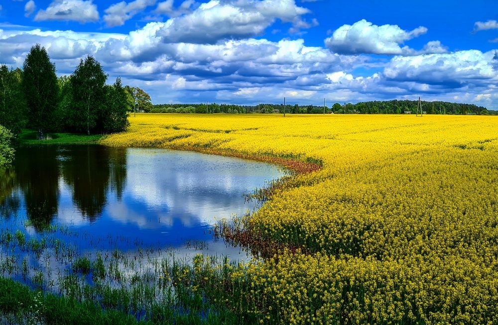 Фотография автора Serega3