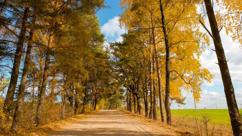 Фотография автора Александр Буренко