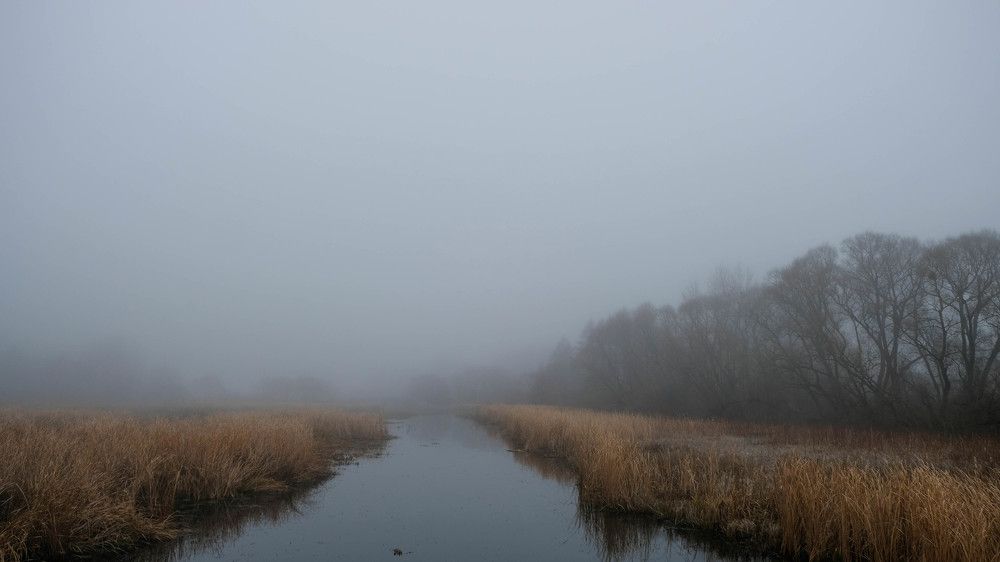 Фотография автора Александр Буренко