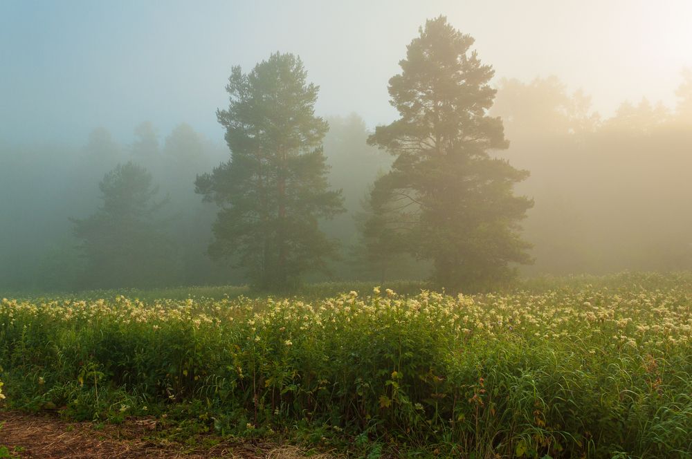 Photograph by Денис Кичев
