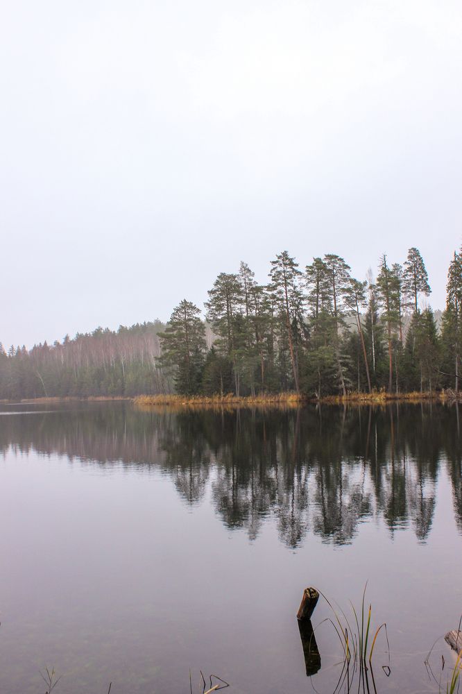 Фотография автора Ольга Войтехович