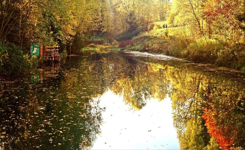 Photograph by Ольга