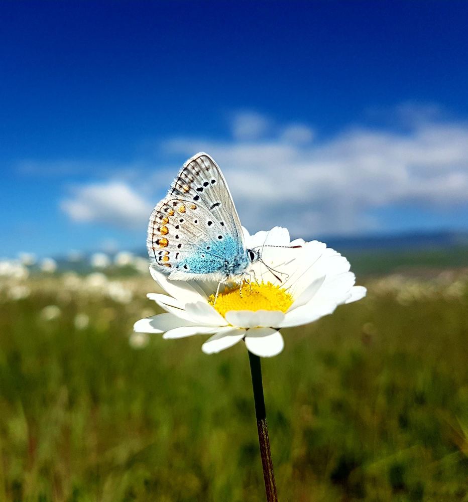 Photograph by Ali öztürk