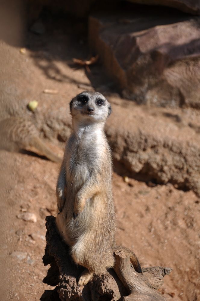 Photograph by Галина Лысых