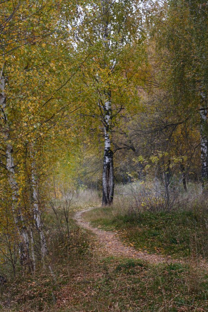 Photograph by Юлия Марфонова