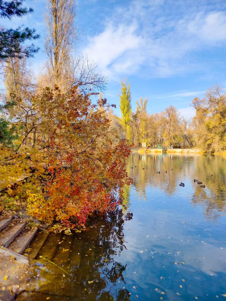 Photograph by Нургуль Испулаева